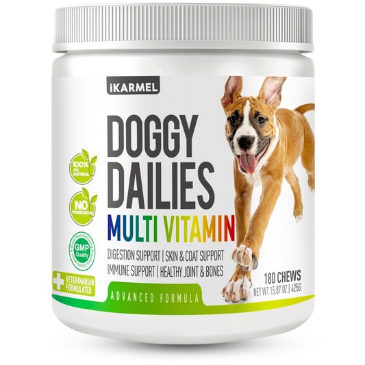 10-IN-1 Multivitamin Supplements for Dogs