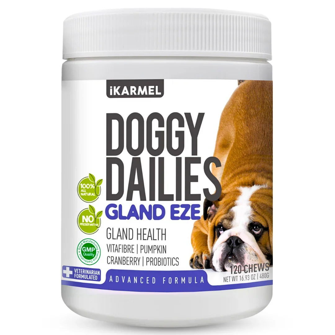 Doggy Dailies No Scoot Chews jar, formulated with real pumpkin for firm stools and digestive support