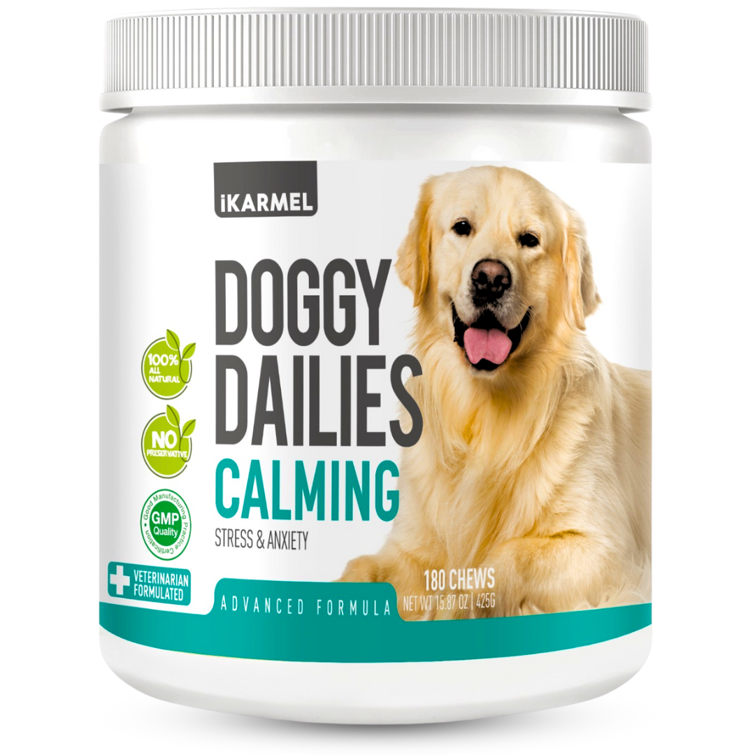 Dog calming chews supplement jar with golden retriever, promotes stress relief and relaxation