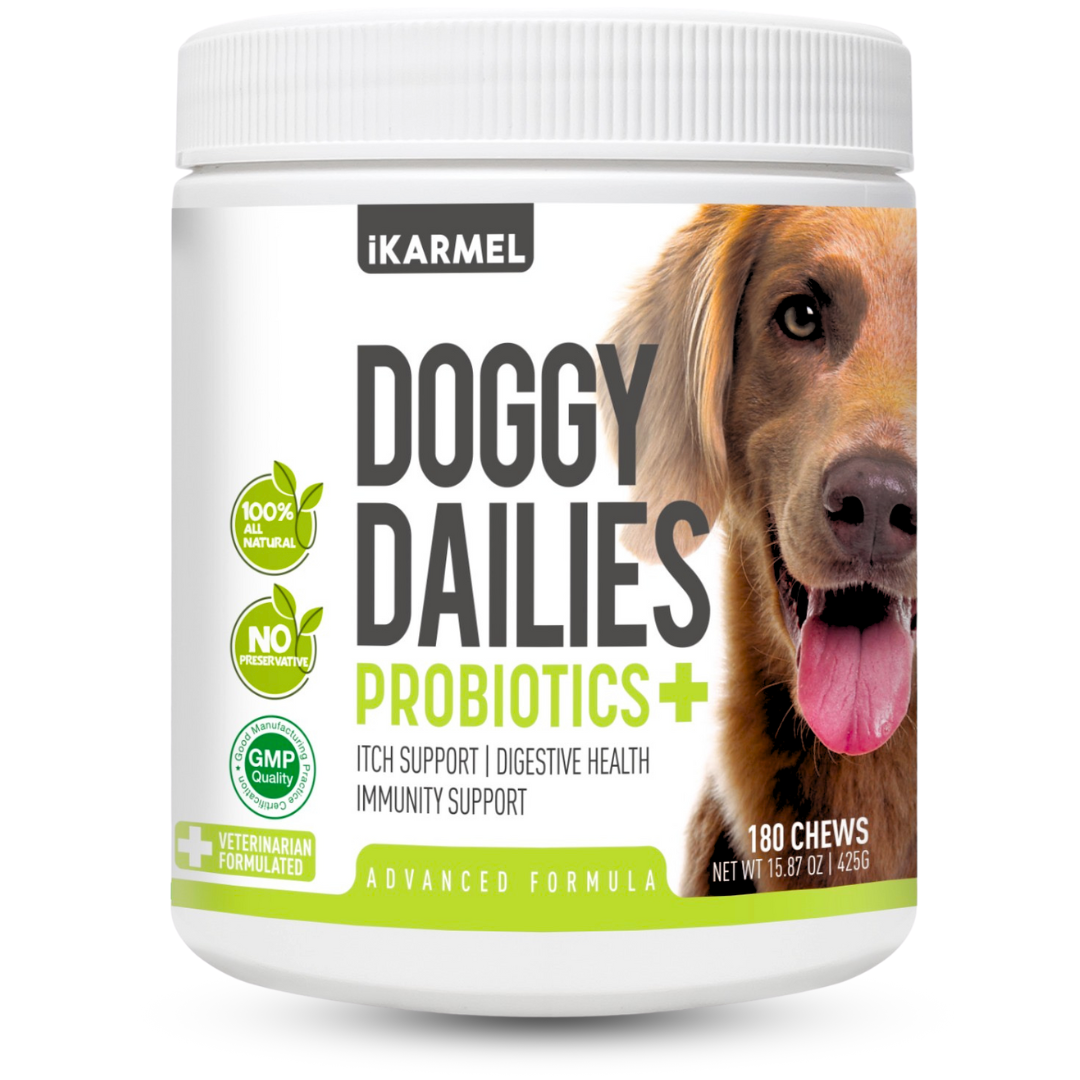 Doggy Dailies Probiotics+ dog supplement container with golden retriever, promotes digestive and immune health.