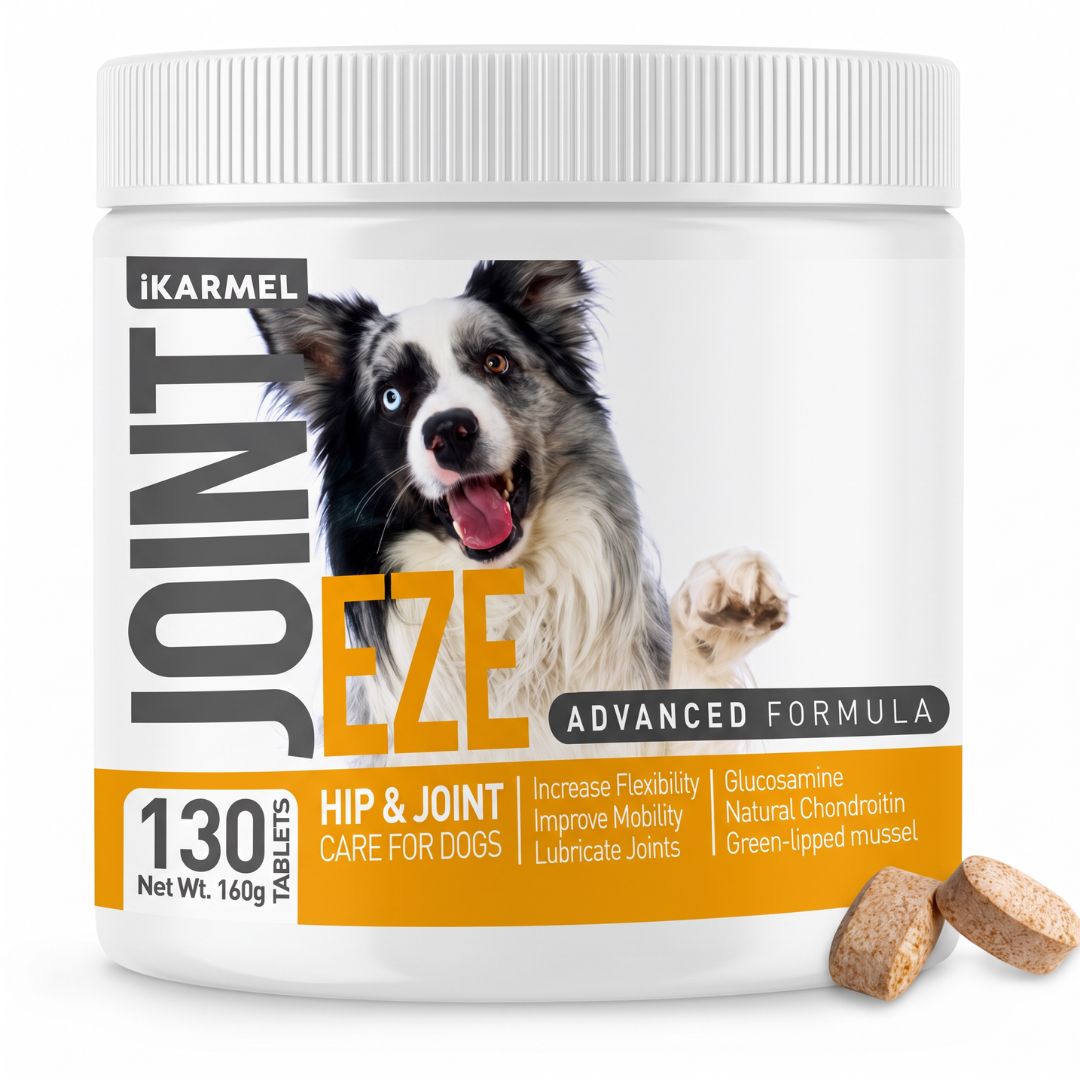 JOINT-EZE Hip & Joint Tablets jar, a matching-ingredient alternative to YuMove for dogs