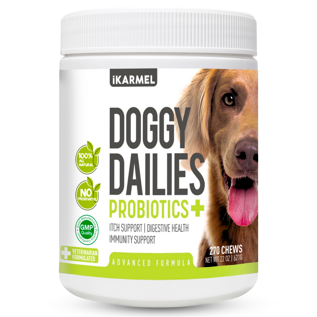 Doggy Dailies Probiotics dog supplement container with Golden Retriever on label, supports itch, digestive health, immunity.