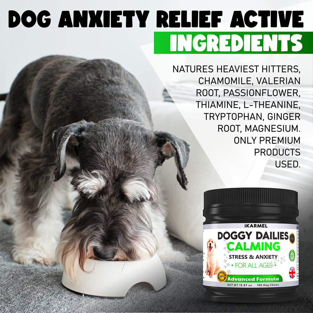 Dog eating near Doggy Dailies calming chews for stress and anxiety relief, natural ingredients listed.