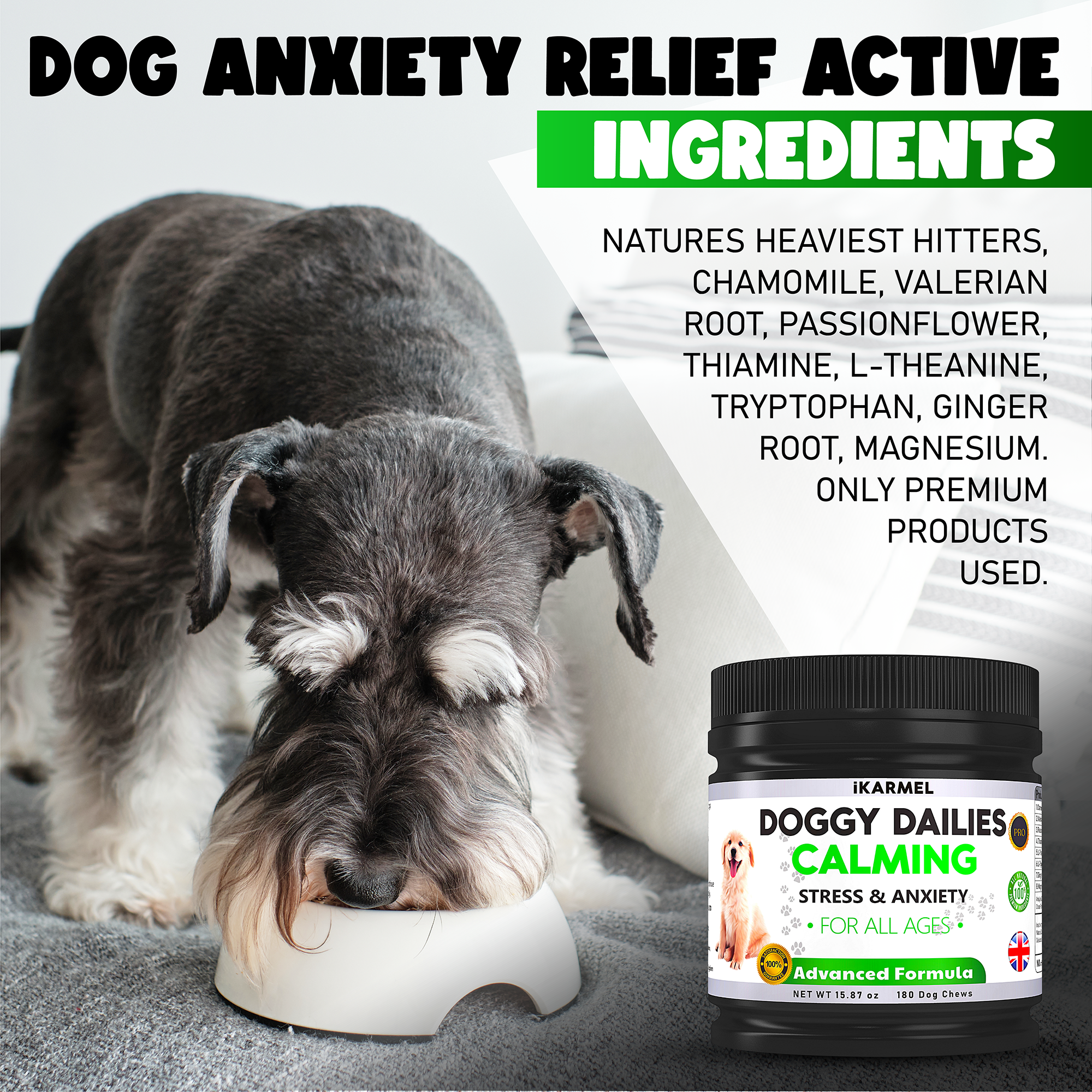 Dog eating near Doggy Dailies calming chews for stress and anxiety relief, natural ingredients listed.