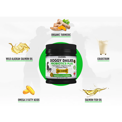 Doggy Dailies Probiotics Plus dog chews with organic turmeric, colostrum, wild Alaskan salmon oil, omega 3 fatty acids, and salmon fish oil.