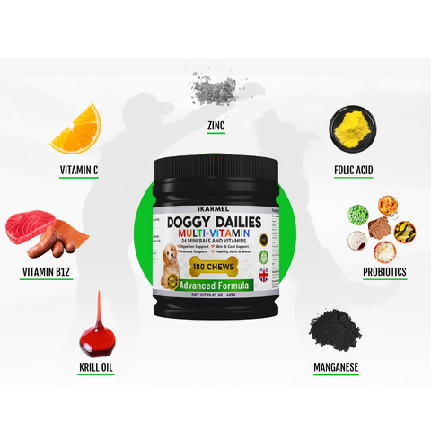Doggy Dailies multi-vitamin dog supplement jar surrounded by images of ingredients like vitamin C, vitamin B12, krill oil, zinc, folic acid, probiotics, and manganese.