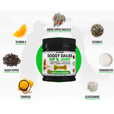 Dog hip and joint supplement container surrounded by ingredients like glucosamine, chondroitin, green lipped mussels, turmeric, black pepper, vitamin C, and vitamin E.
