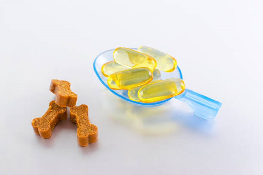 Dog vitamins and bone-shaped supplements in a blue scoop on white background