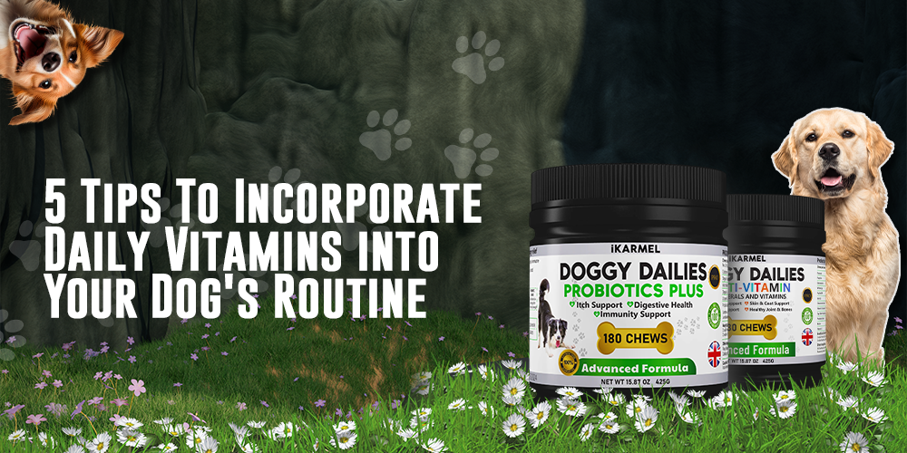 Dog vitamins and supplements, two happy dogs, forest background, text about daily dog vitamins