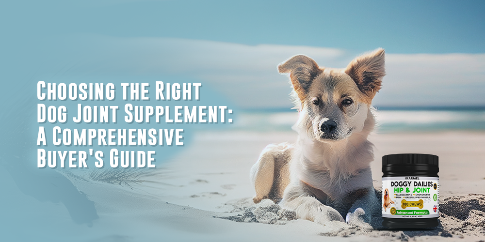 Dog sitting on beach next to hip and joint supplement jar, dog joint support guide text