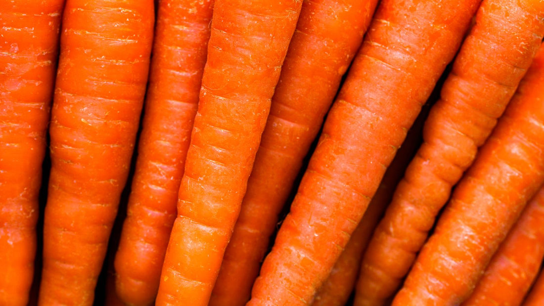 Fresh orange carrots, a safe and healthy low-calorie treat for dogs