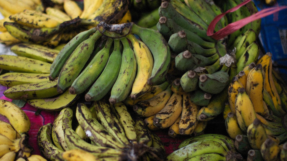 Bunch of fresh bananas