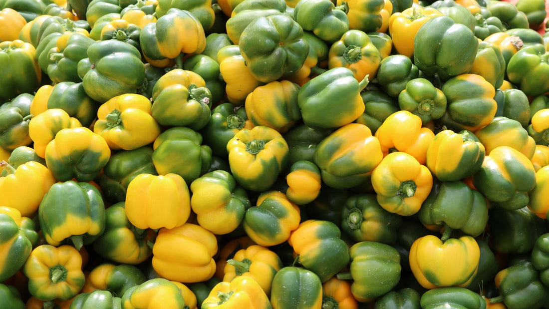Fresh bell peppers, relevant to whether dogs can eat peppers