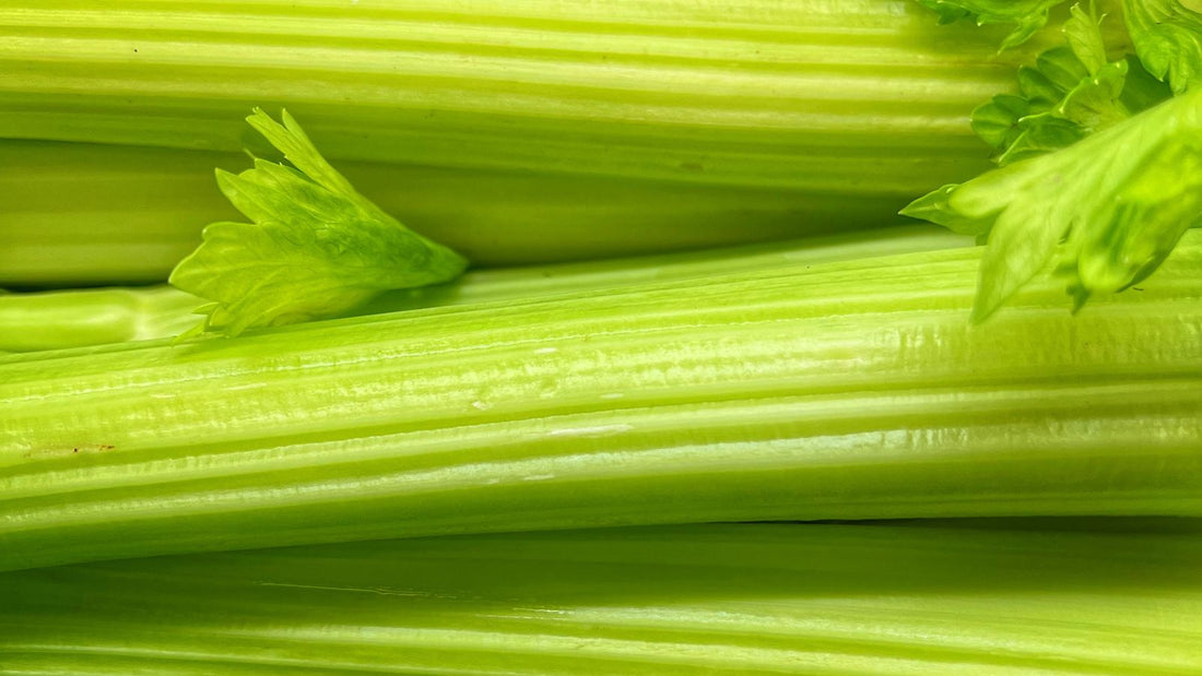Fresh green celery stalks