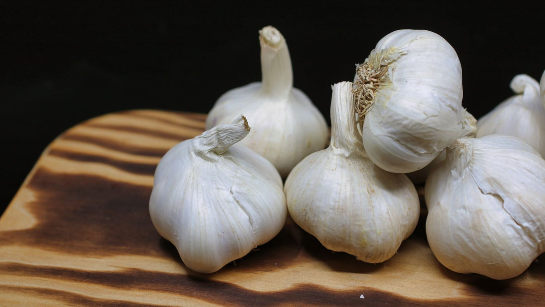 Fresh garlic bulbs, relevant to whether dogs can eat garlic
