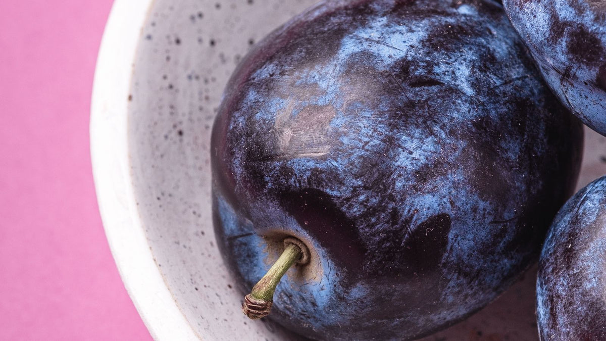 Fresh ripe plums in a bowl, relevant to whether dogs can eat plums