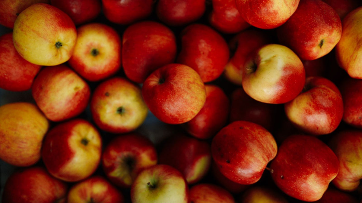 Fresh red apples, relevant to whether dogs can eat apples