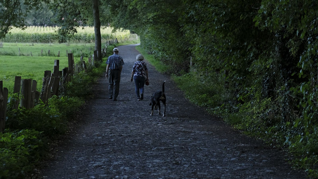 Elderly couple walking their dog on an outdoor path