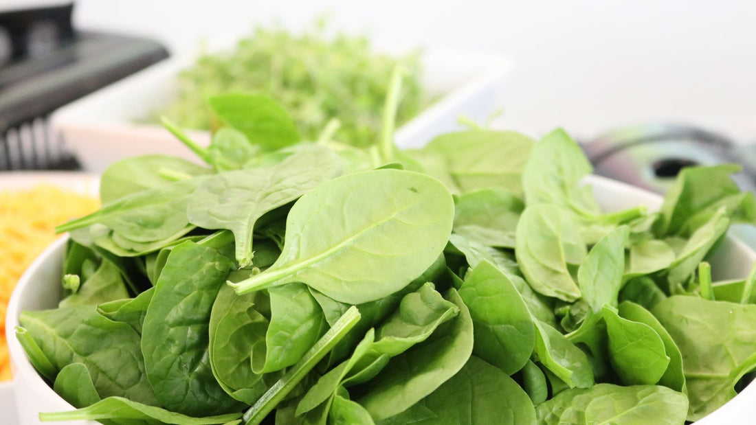 Fresh spinach leaves in a white bowl