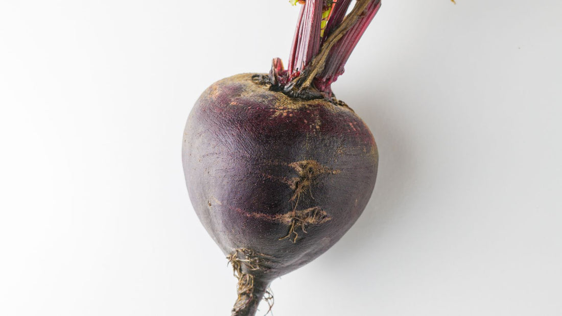 Fresh raw beetroot, safe for dogs in moderation when plain and cooked