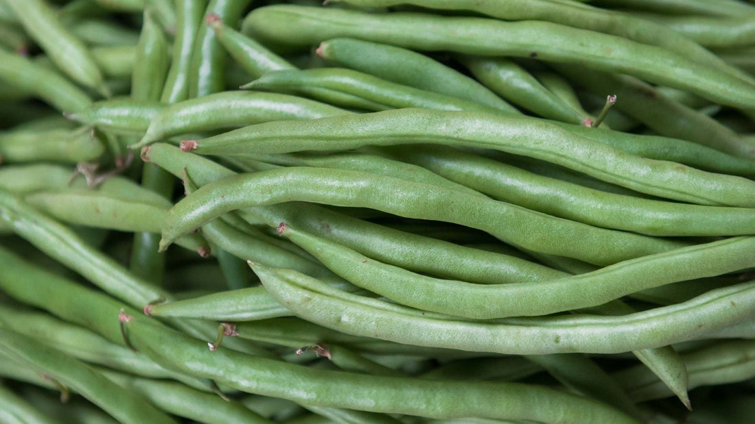 Close-up of fresh raw green beans