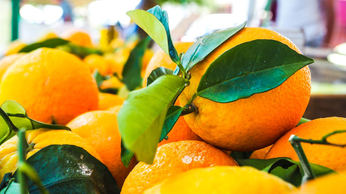Fresh oranges and satsumas suitable for dogs in moderation