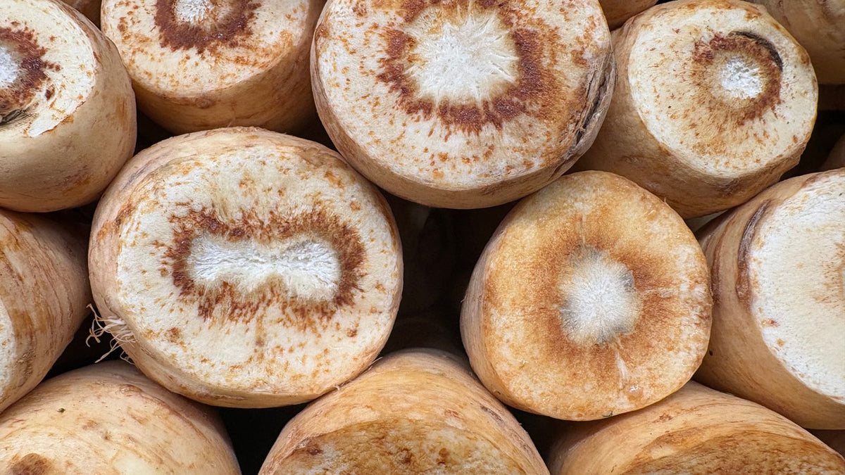 Freshly cut parsnips showing their pale, fibrous interior