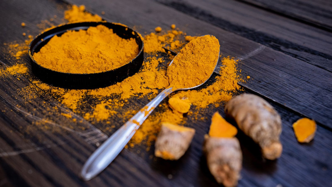 Turmeric powder and root, relevant to turmeric benefits and safe usage for dogs
