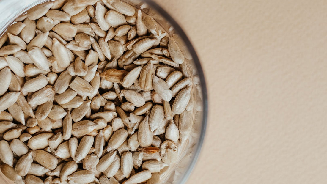 A glass bowl of plain, shelled sunflower seed kernels, the safer form for dogs to eat in small amounts