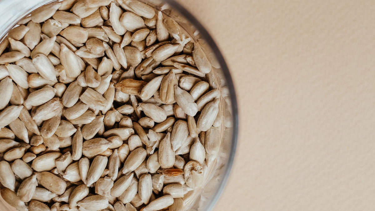 A glass bowl of plain, shelled sunflower seed kernels, the safer form for dogs to eat in small amounts