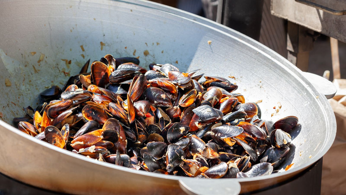 Freshly cooked mussels, relevant to green-lipped mussel for dogs