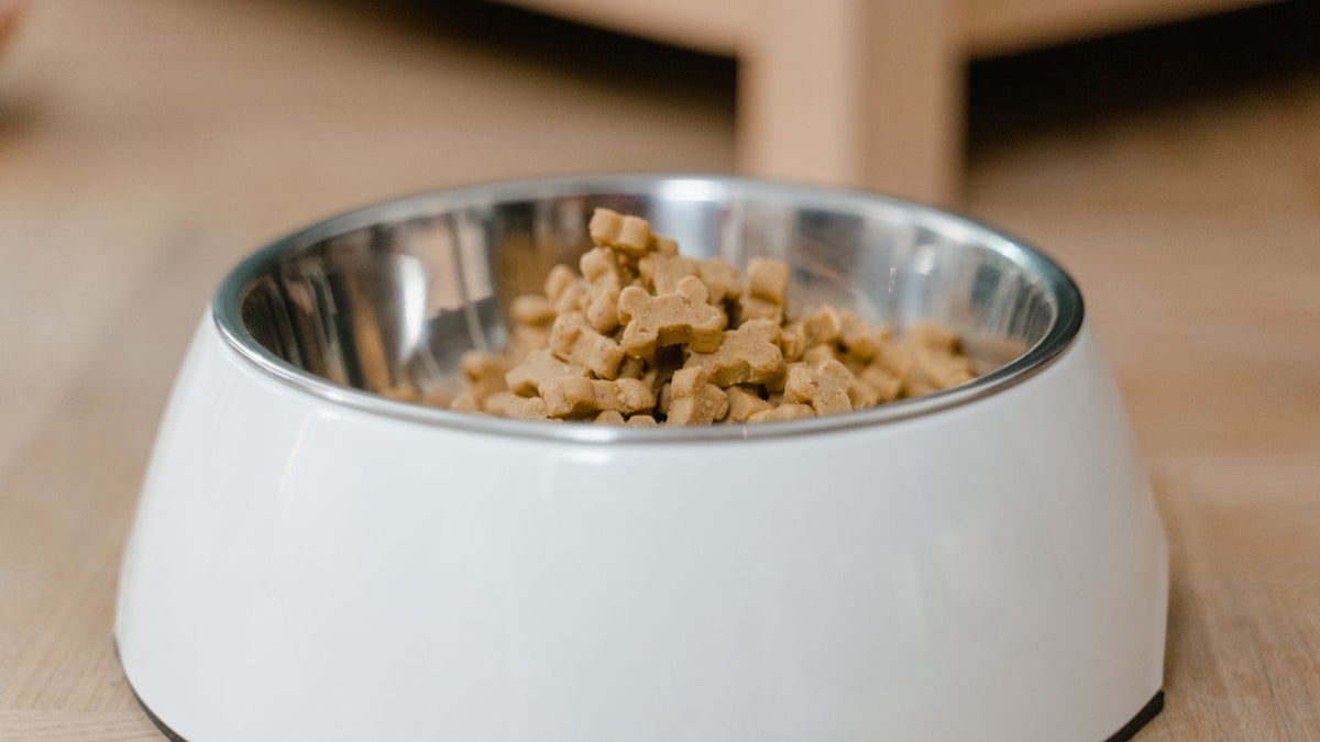 Bowl of puppy food on a wooden floor - do puppies need vitamins