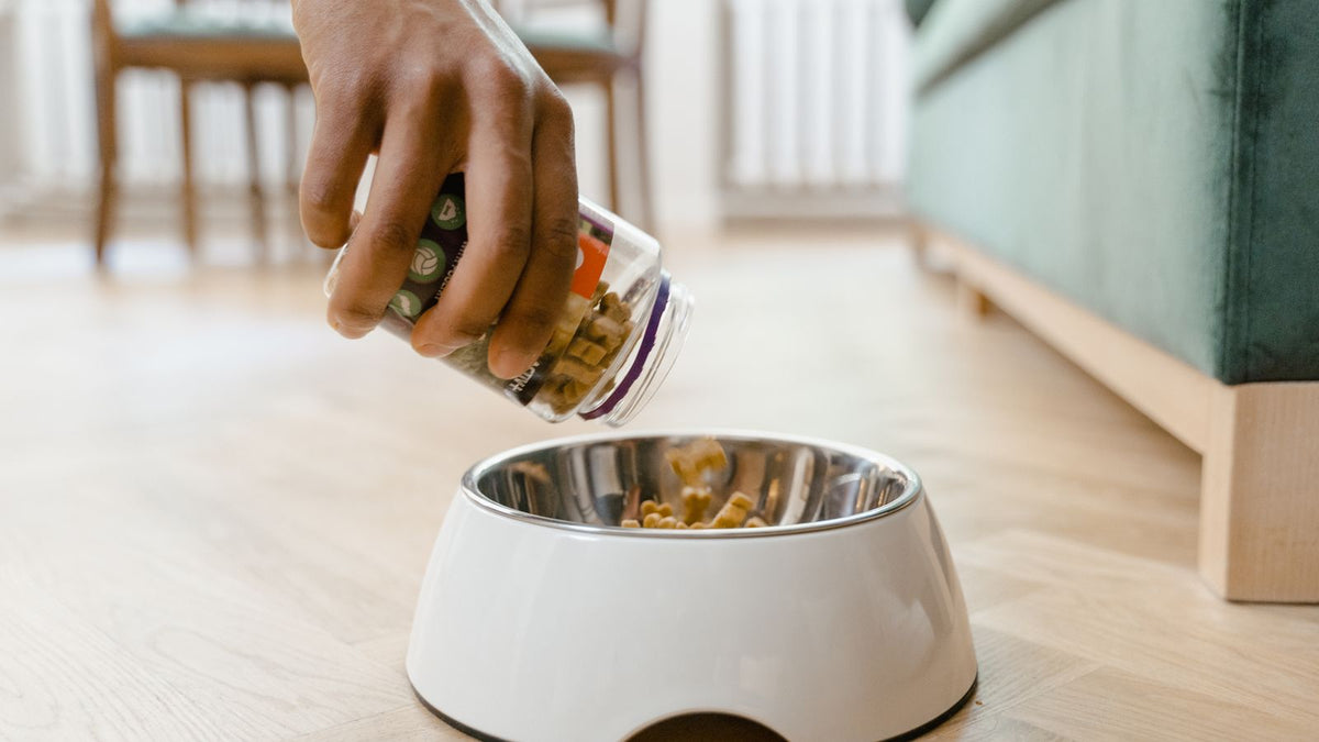 Dog food being poured into a bowl, relevant to giving a dog a probiotic