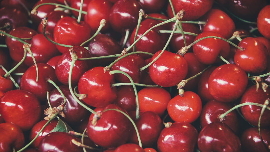 Fresh red cherries with stems, relevant to whether dogs can eat cherries