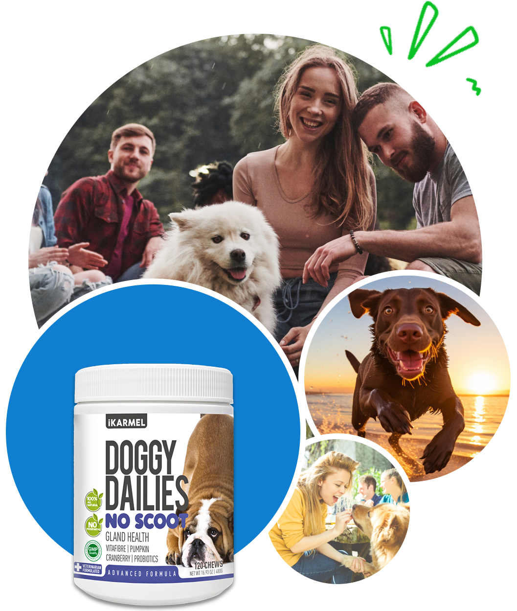 Doggy Dailies No Scoot supplement for dogs with happy dogs and owners outdoors