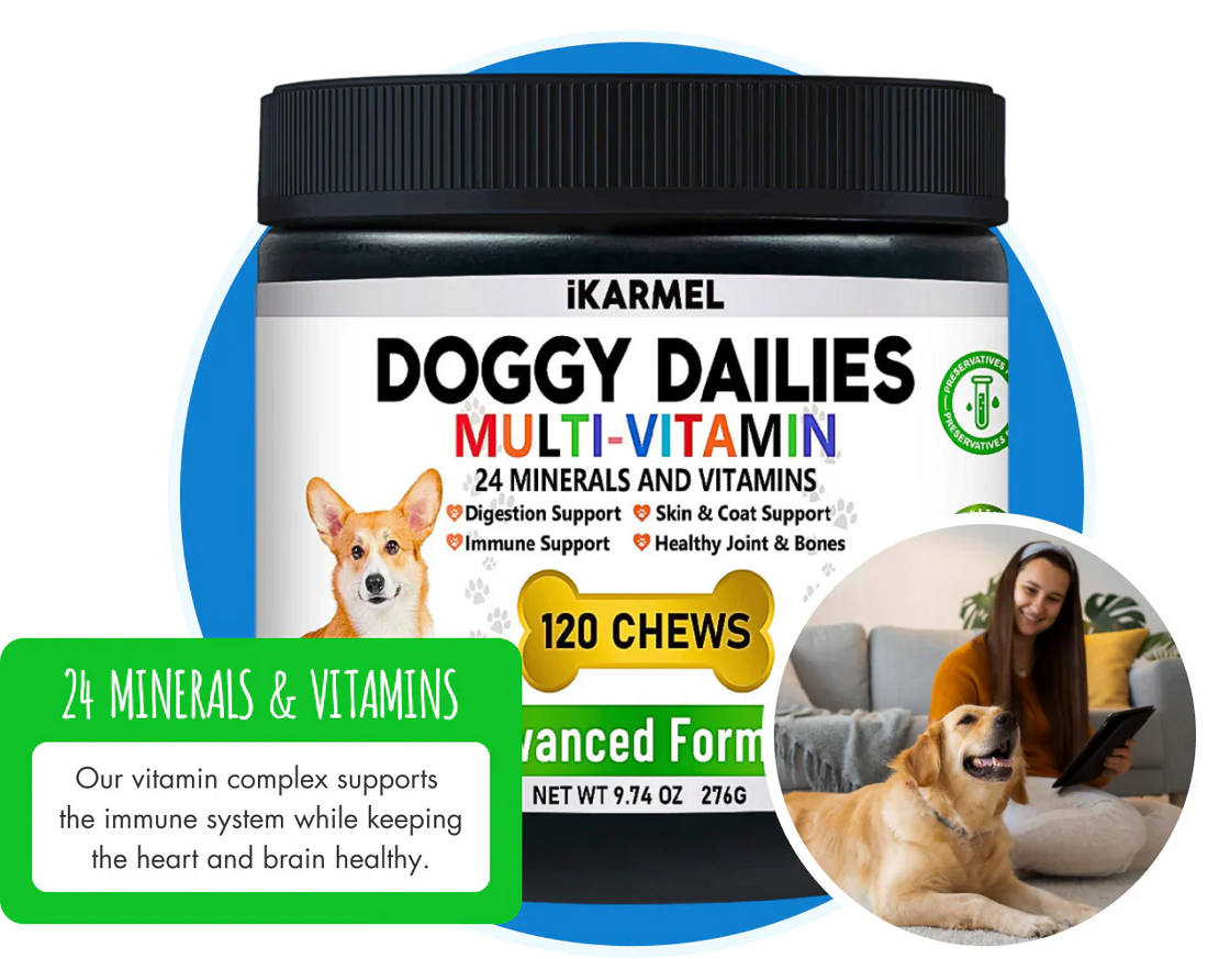 Dog multivitamin supplement container with dog, 24 minerals and vitamins, woman with dog.