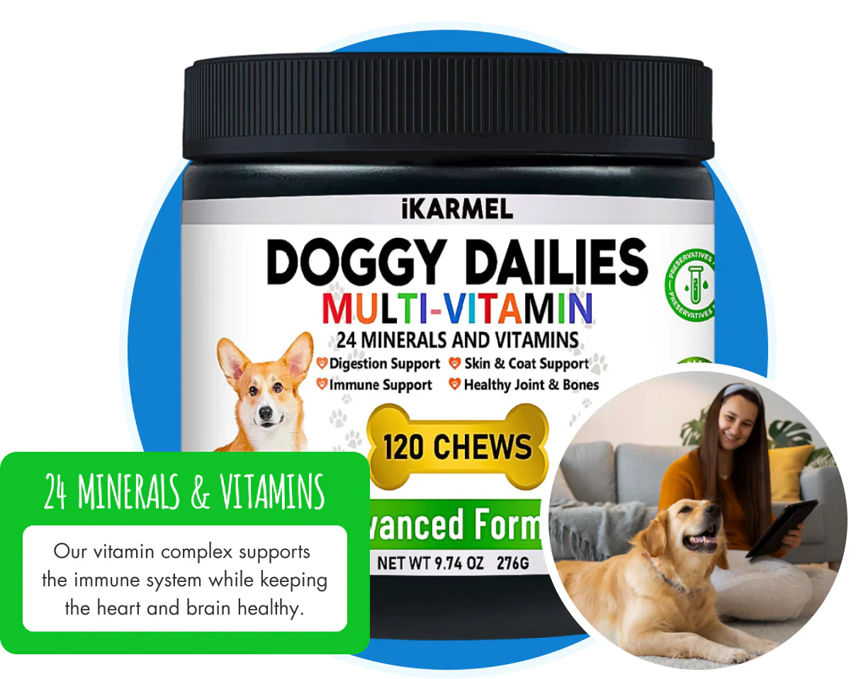 Dog multivitamin supplement container with dog, 24 minerals and vitamins, woman with dog.