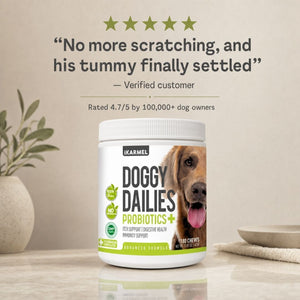 Doggy Dailies Probiotics+ chews jar with a 5-star verified customer review - "No more scratching, and his tummy finally settled" - rated 4.7 out of 5 by over 100,000 dog owners
