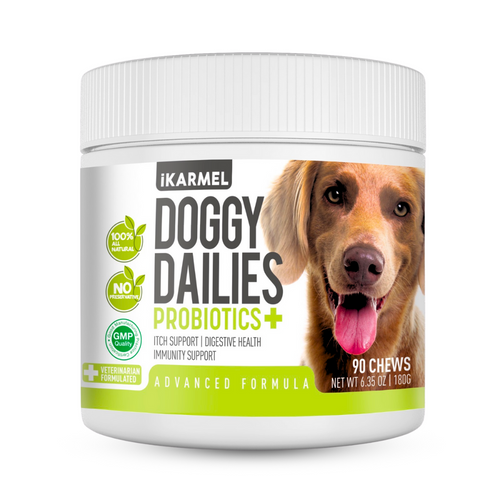 Probiotics for Dogs