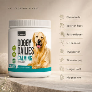 Doggy Dailies Calming Chews jar with calming blend ingredients: chamomile, valerian root, passionflower, L-theanine, tryptophan, thiamine, ginger root, and magnesium