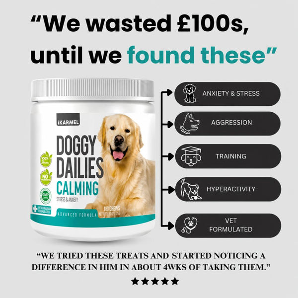 Doggy Dailies Calming Treats product detail image