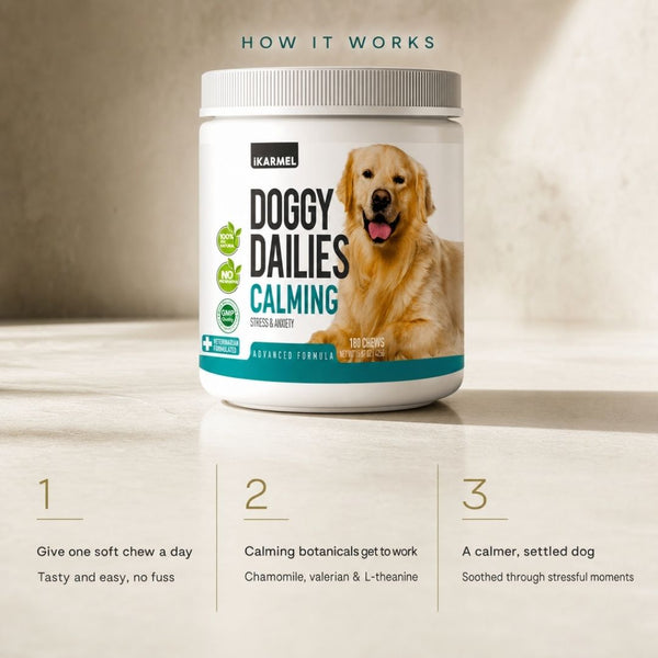 Doggy Dailies Calming Chews - how it works: give one chew daily, calming botanicals like chamomile and valerian take effect, leading to a calmer dog