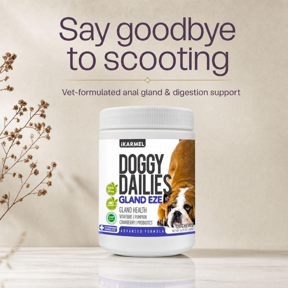 Doggy Dailies No Scoot Anal Gland Support Chews jar