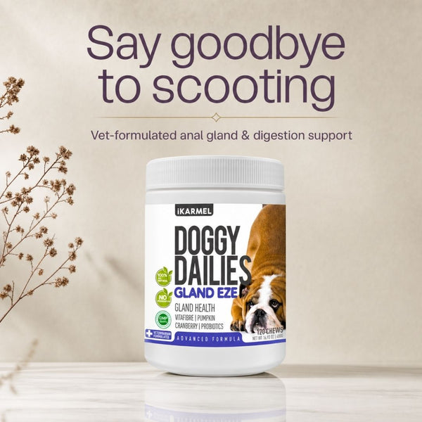 Doggy Dailies Gland Eze anal gland chews jar with the headline "Say goodbye to scooting" - vet-formulated anal gland and digestion support, 120 chews