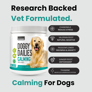 DOG CALMING CHEWS - NATURAL ANXIETY SUPPORT FOR DOGS