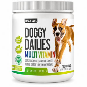 Best Dog Vitamin Chews & Daily Supplements