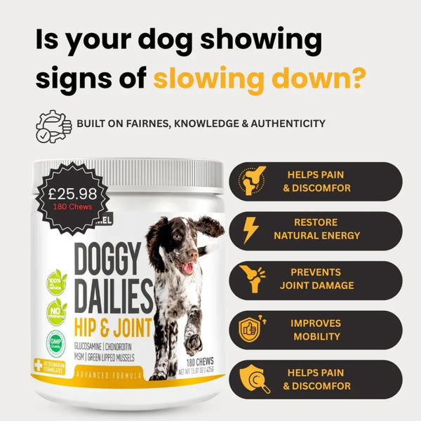 Dog Joint Care & Mobility Chews product detail image