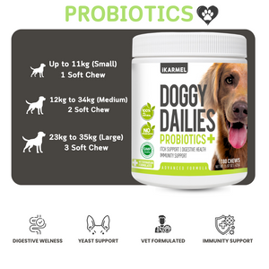 Probiotics for Dogs