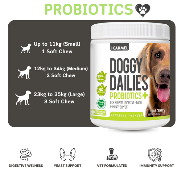 Probiotics for Dogs