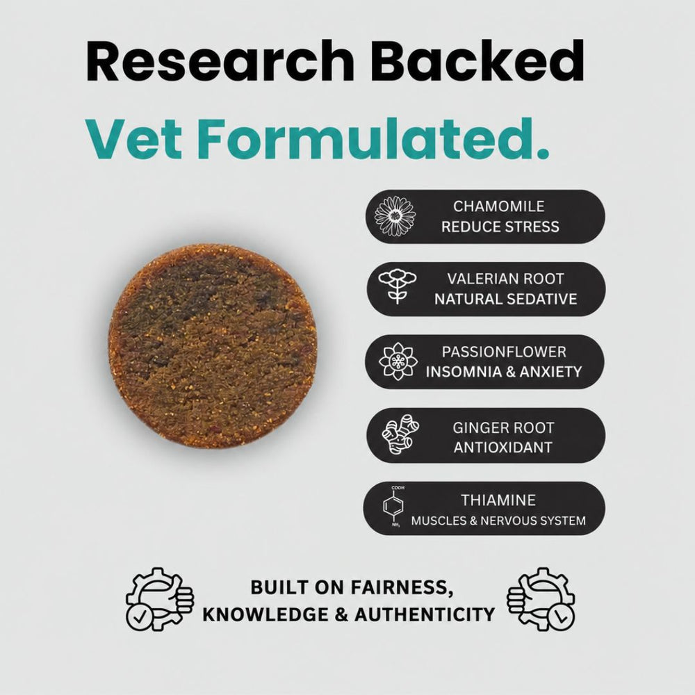 Doggy Dailies Natural Calming Dog Treats jar